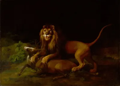 A Lion Attacking A Stag