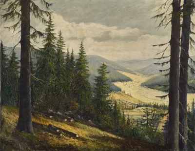 A Look At The Black Forest