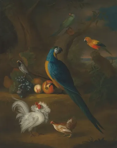 A Macaw And Other Birds In A Landscape