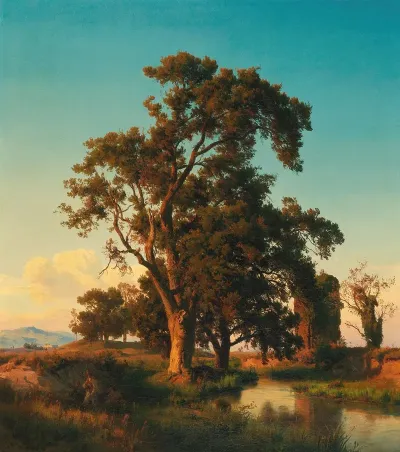 A Majestic Tree In The Evening Light