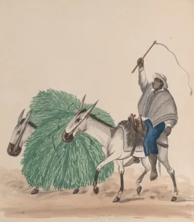 A Man Riding A Mule His Whip Raised Another Mule Loaded With Grass Alongside