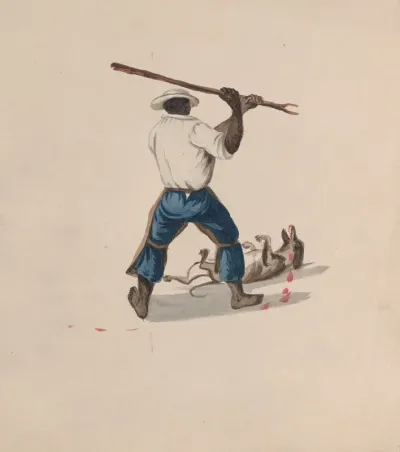 A Man Viewed From Behind Beating A Dog With A Stick