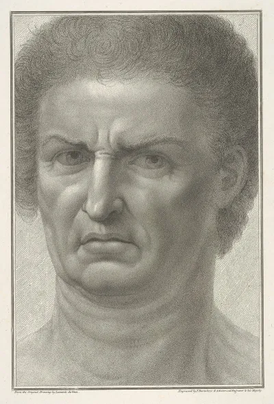 A Mans Face After Leonardo Da Vinci