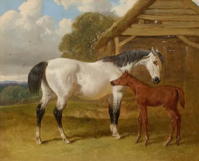 A Mare And Foal Beside A Field Shelter