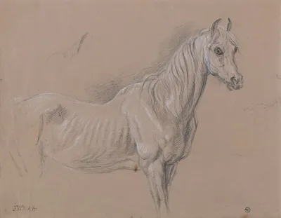A Mare Possibly A Study For Lamour De Cheval