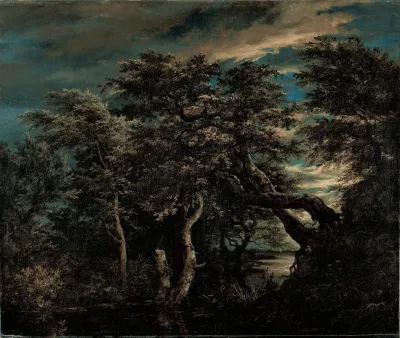 A Marsh In A Forest At Dusk