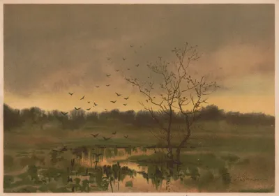 A Marsh Twilight