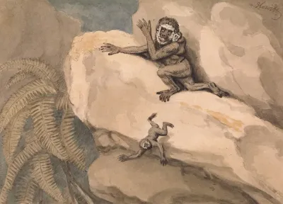A Monkey And Young