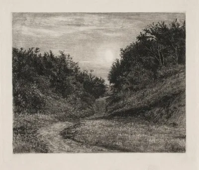 A Moonlit Summer Evening