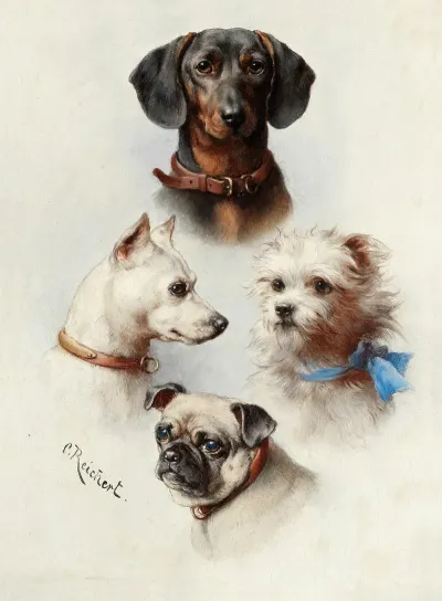 A Motley Crew