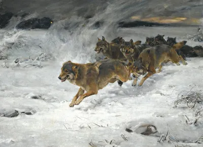 A Pack Of Wolves