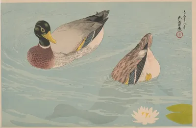 A Pair Of Ducks