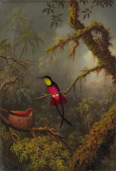 A Pair Of Nesting Crimson Topaz Hummingbirds