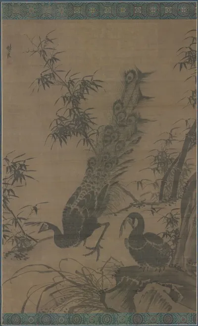A Pair Of Peafowl