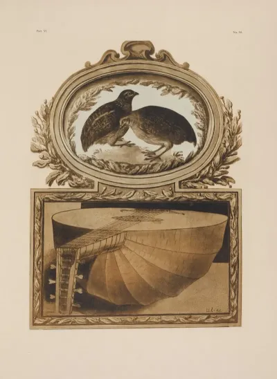 A Pair Of Quails A Lute