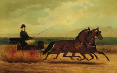 A Pair Of Trotters