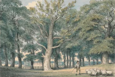 A Park Landscape With Shepherd And Sheep