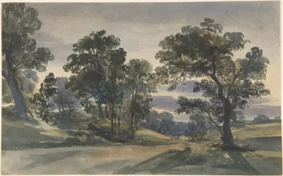 A Parkland View At Dusk