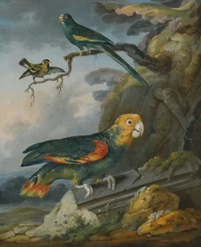A Parrot A Perroquet And A Gold Finch At The Base Of A Tree
