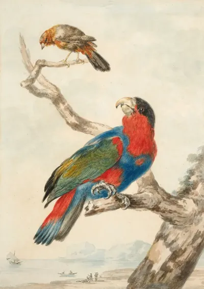 A Parrot And Another Bird On A Branch Near A Littoral