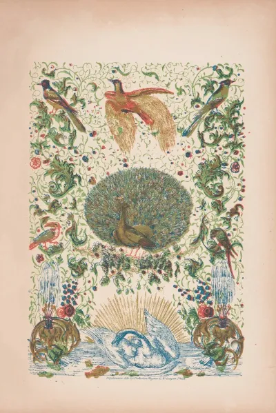 A Peacock And Other Birds Among Design Elements