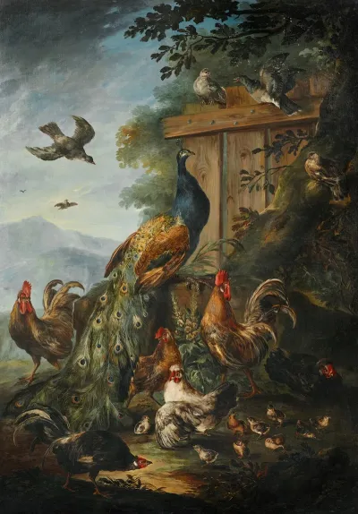 A Peacock Cocks Hens And Other Birds With A Landscape Beyond