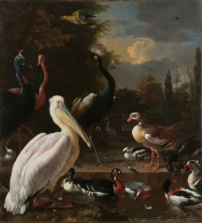 A Pelican And Other Birds Near A Pool Known As The Floating Feather