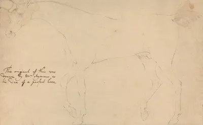 A Perfect Horse