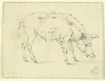A Pig To The Right