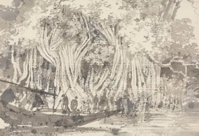 A Pipul Tree