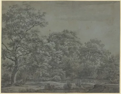 A Pond In The Forest