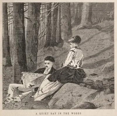 A Quiet Day In The Woods