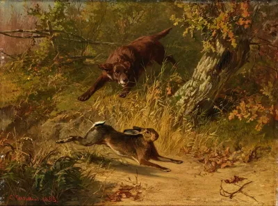 A Rabbit Hunt 2