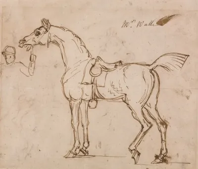A Racehorse Bridled And Saddled