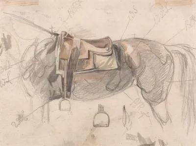 A Racing Saddle On A Horses Back With Details Of Stirrup