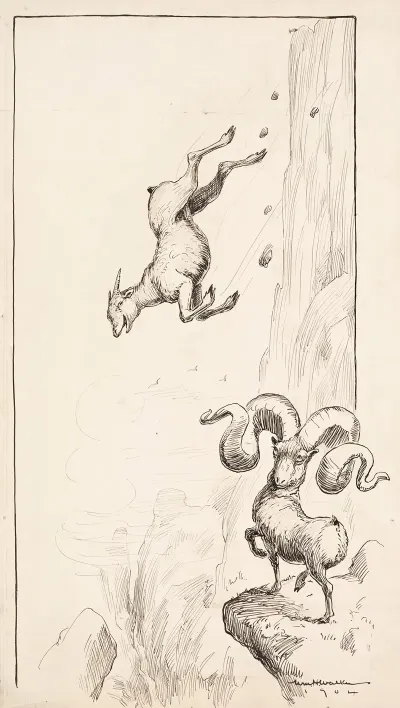 A Ram With Huge Horns Tips Over Because Of The Weight While A Ram With Much Smaller Horns Laughs