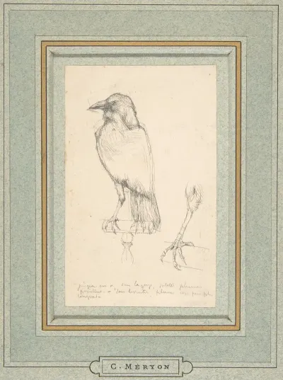 A Raven Perched On A Rail 2