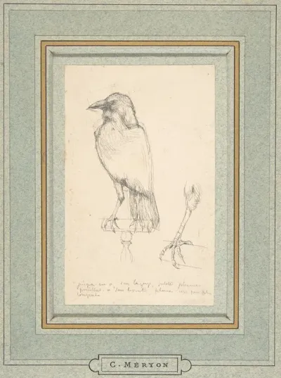 A Raven Perched On A Rail