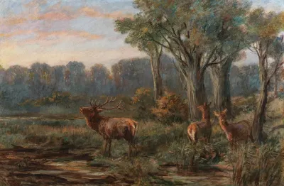 A Red Deer In A Glade