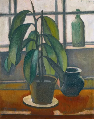 A Rubber Plant On A Window Ledge