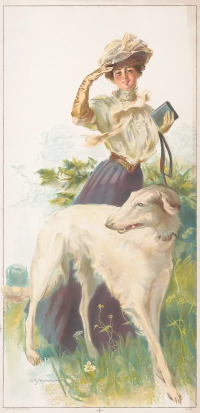 A Russian Greyhound 2