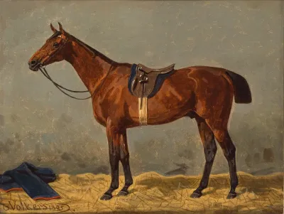 A Saddled Bay Horse In A Stable 3