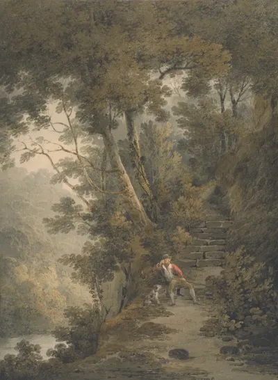 A Scene In The Woods At Bolton Abbey Yorkshire