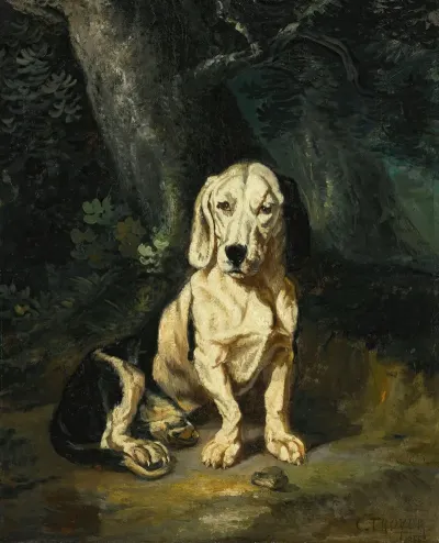 A Seated Basset Hound