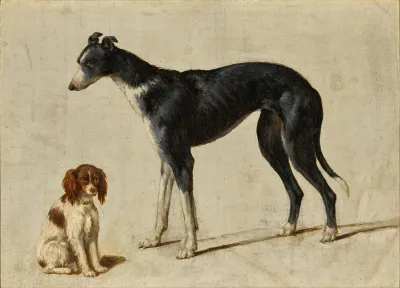 A Seated Cavalier King Charles Spaniel And A Standing Greyhound