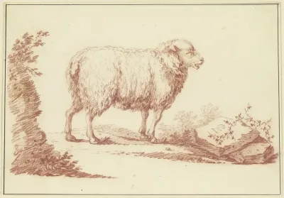 A Sheep To The Right