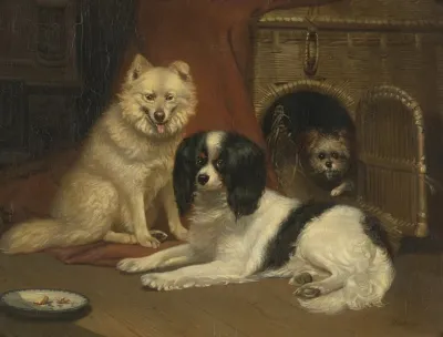 A Sheepdog A King Charles Spaniel And A Terrier