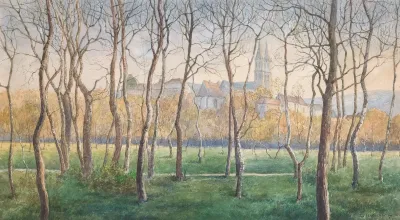 A Small Birch Forest With A View Klosterneuburg Monastery