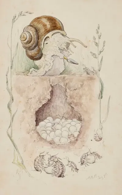 A Snail Guarding Their Nest