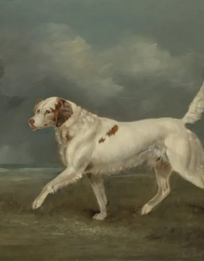 A Spaniel In A Landscape